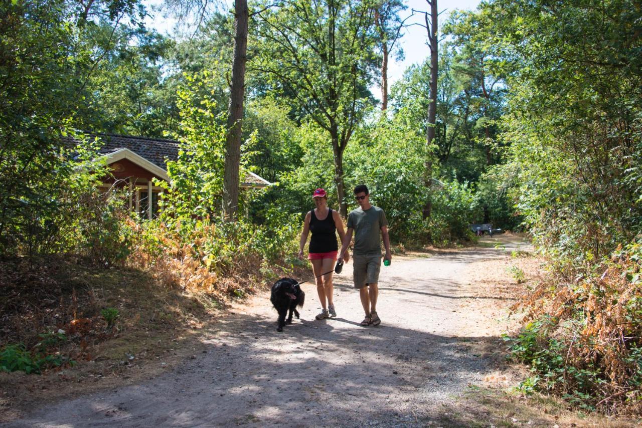 Hotel Europarcs De Wiltzangh Ruinen Zewnętrze zdjęcie